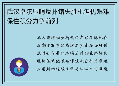 武汉卓尔压哨反扑错失胜机但仍艰难保住积分力争前列